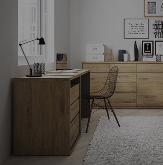 Kategorija Pohištvo za domačo pisarno