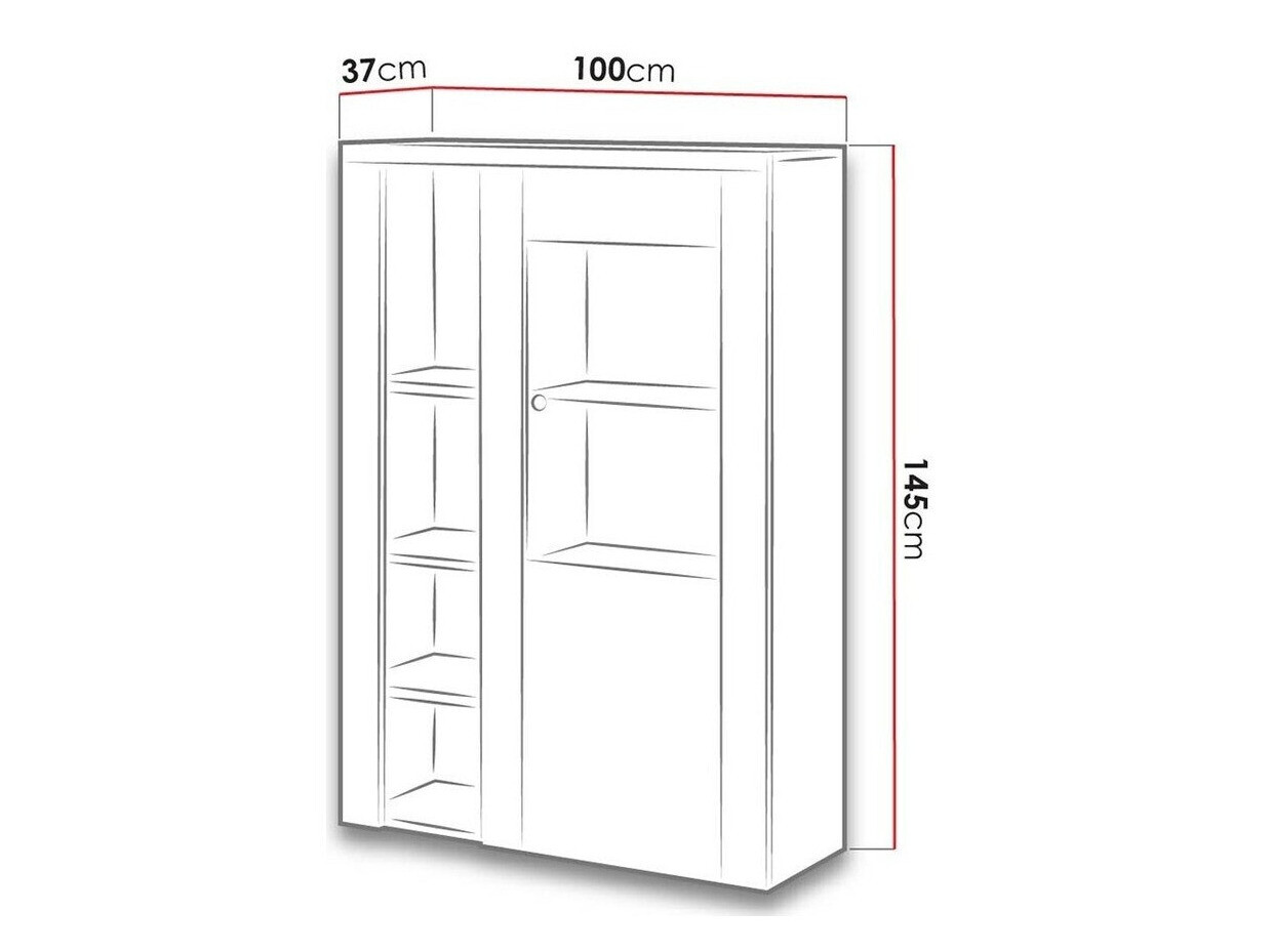 Regal Salelbo 104 (Oreh)