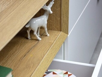 TV-omarica Camali 101