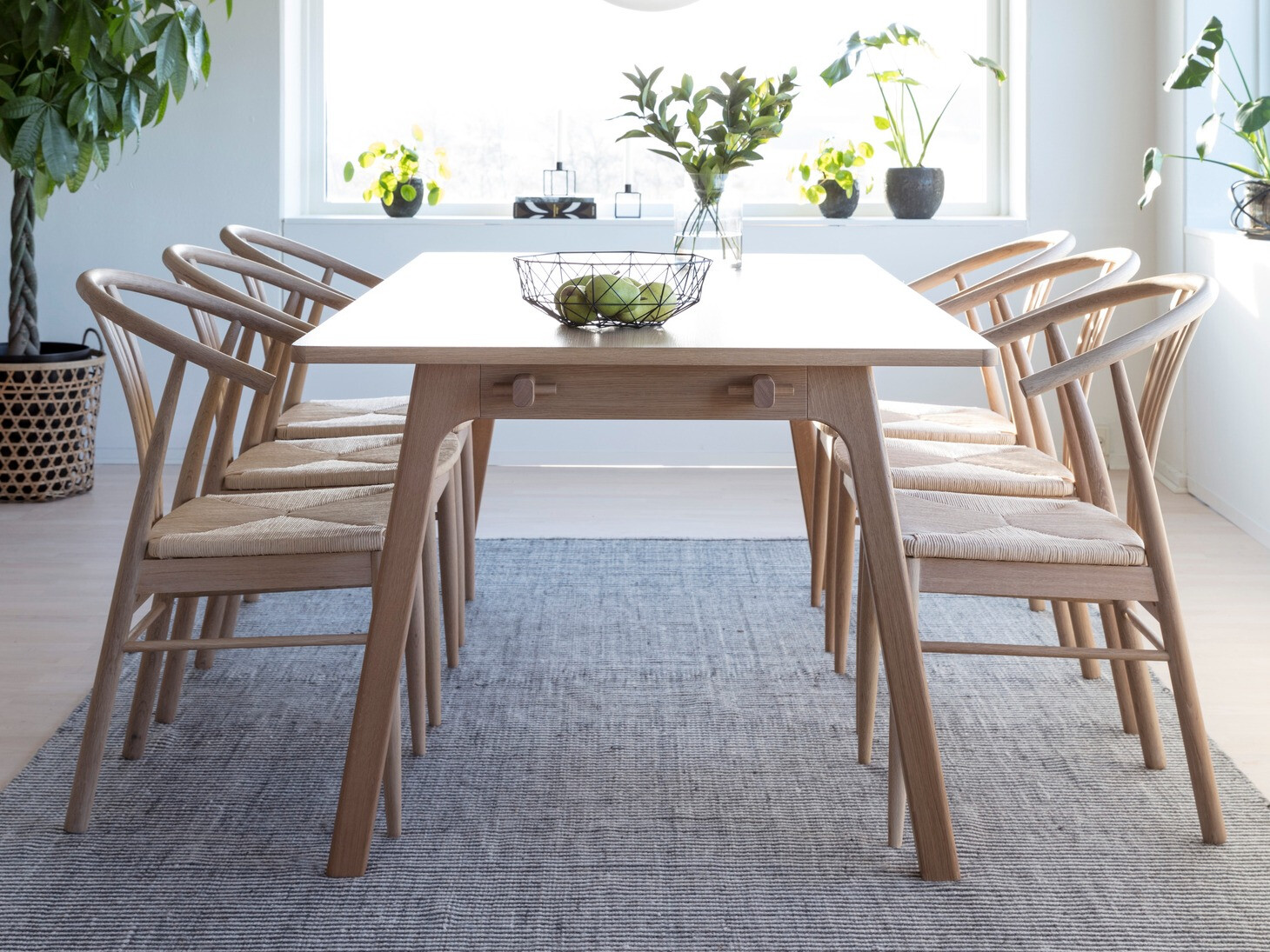 Stol Norsica 463 (Beljen hrast + Svetlo rjava)