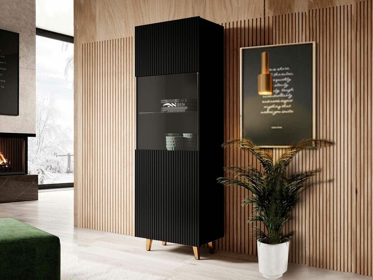 Regal Dicto (Črna + Zlata)