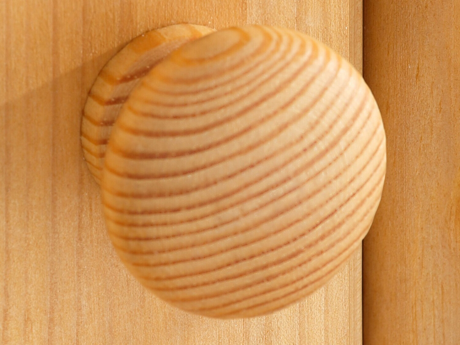 Garderobna omara Denton 240 (Bor)