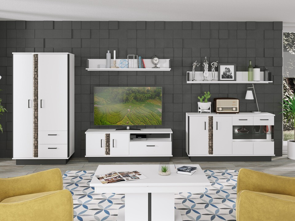 TV-omarica Fiosalu 100