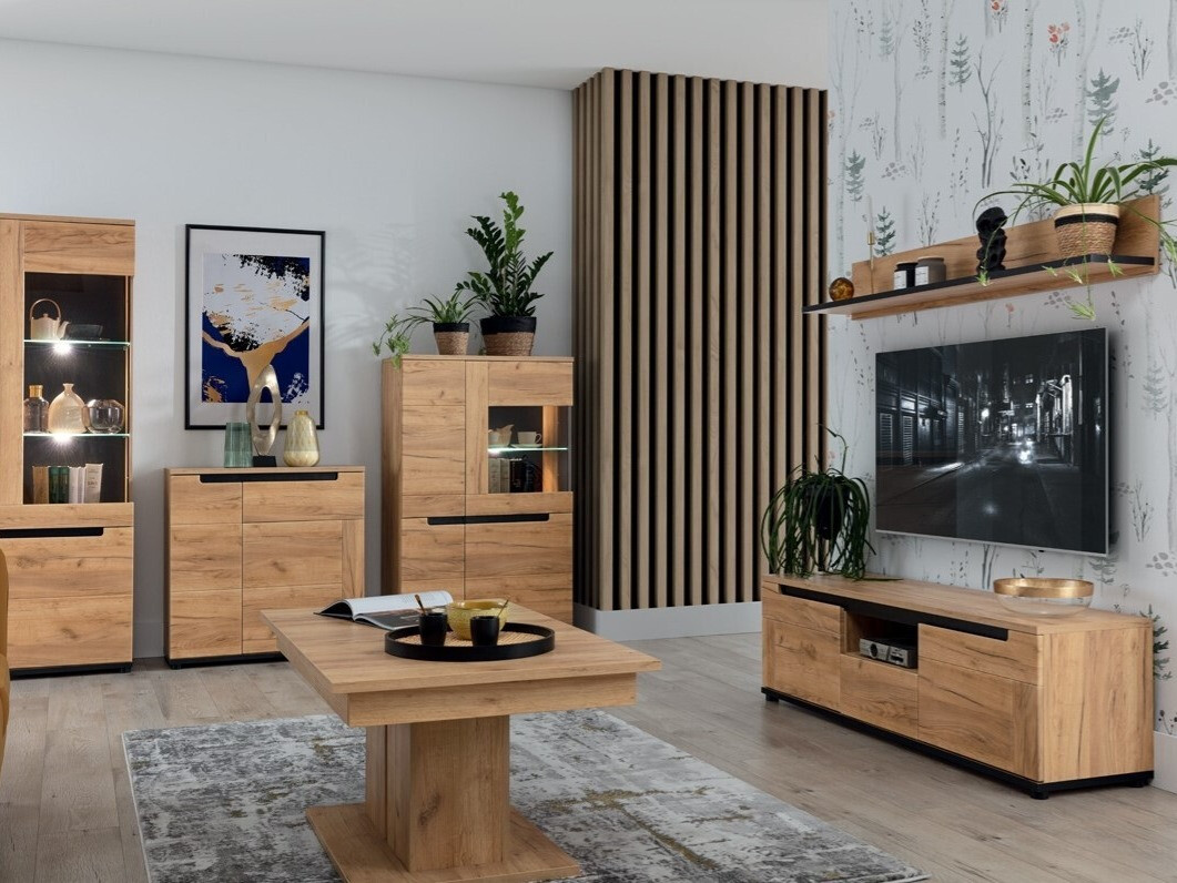 TV-omarica Remlevi 100