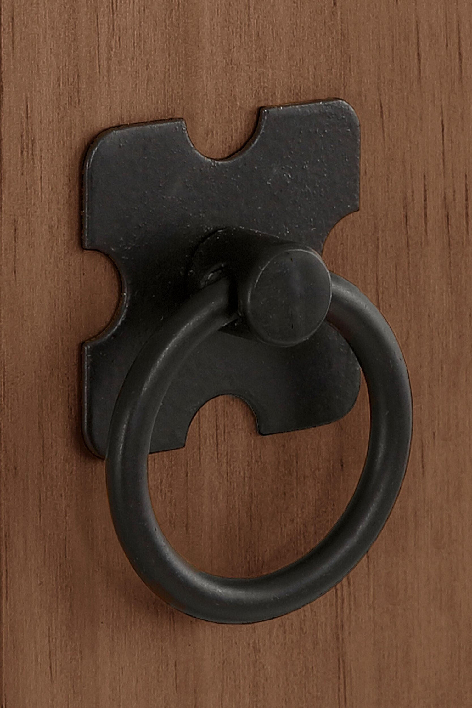 Regal Sonlive 110 (Rjava)