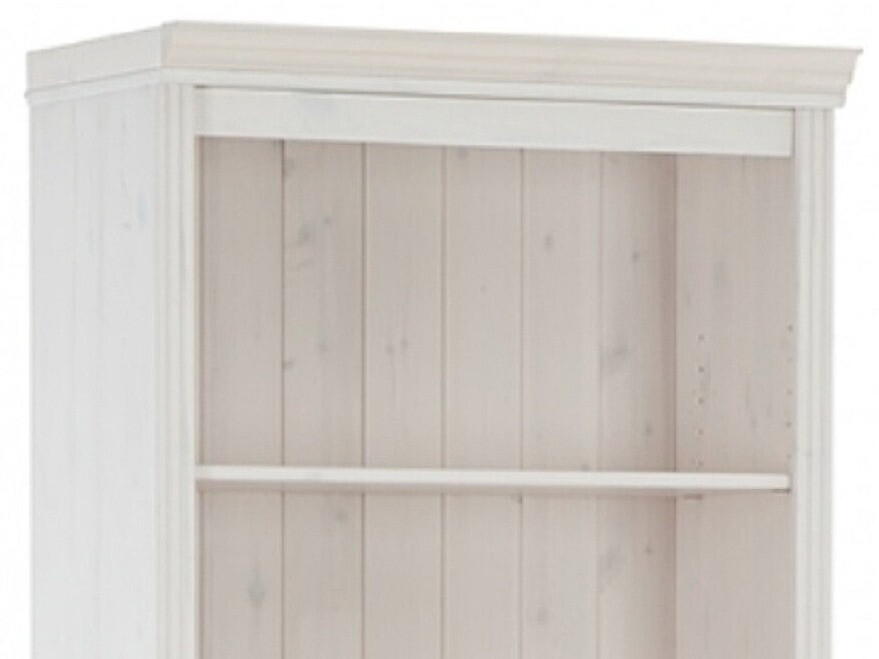 Regal Saltoro 100 (Bela)