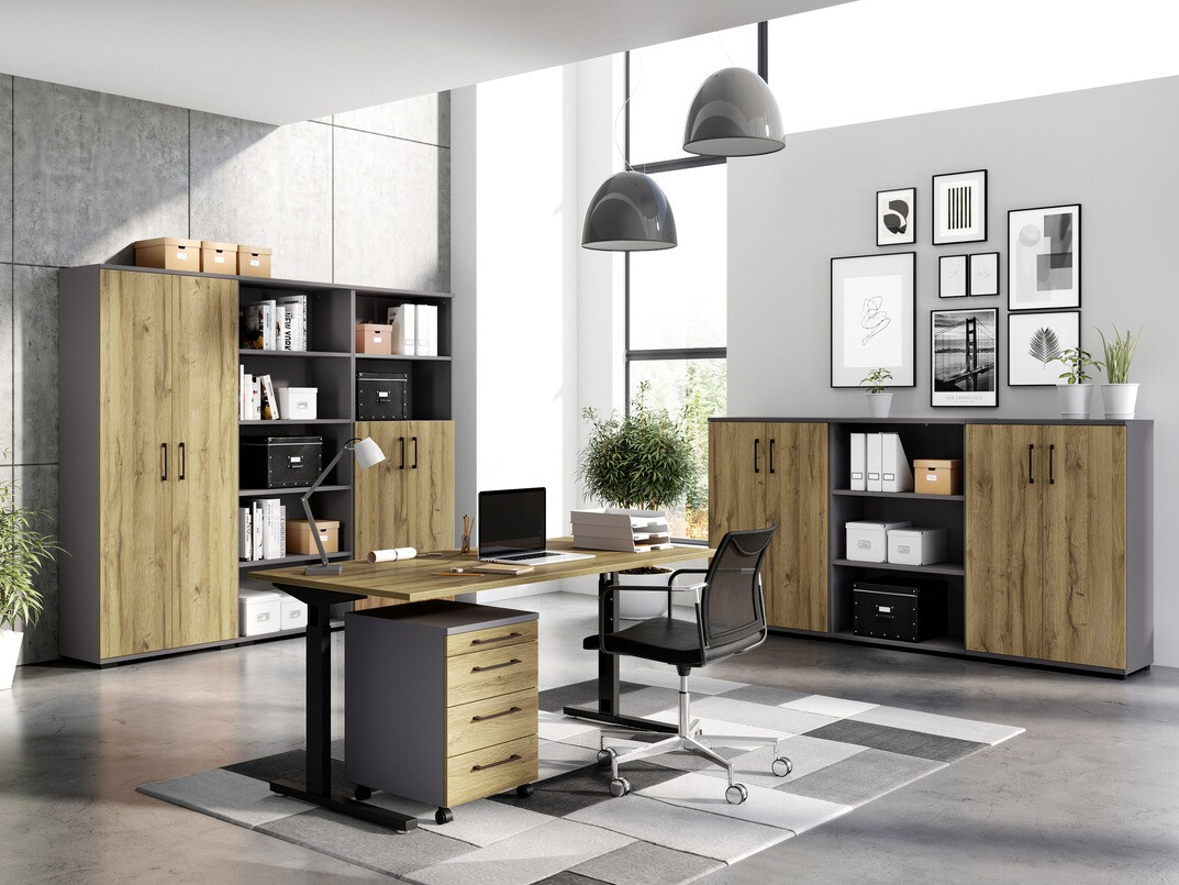 Omarica Lartesi 101 (Grafit + Hrast Grandson)