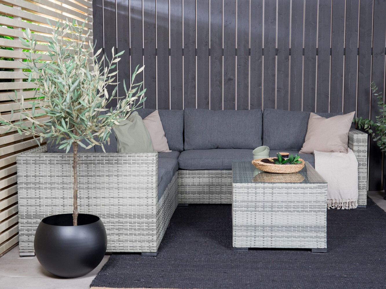 Komplet vrtnega pohištva Dallas 658