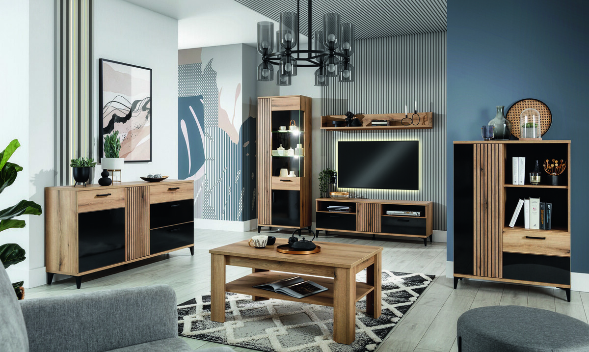 TV-omarica Camcate 100