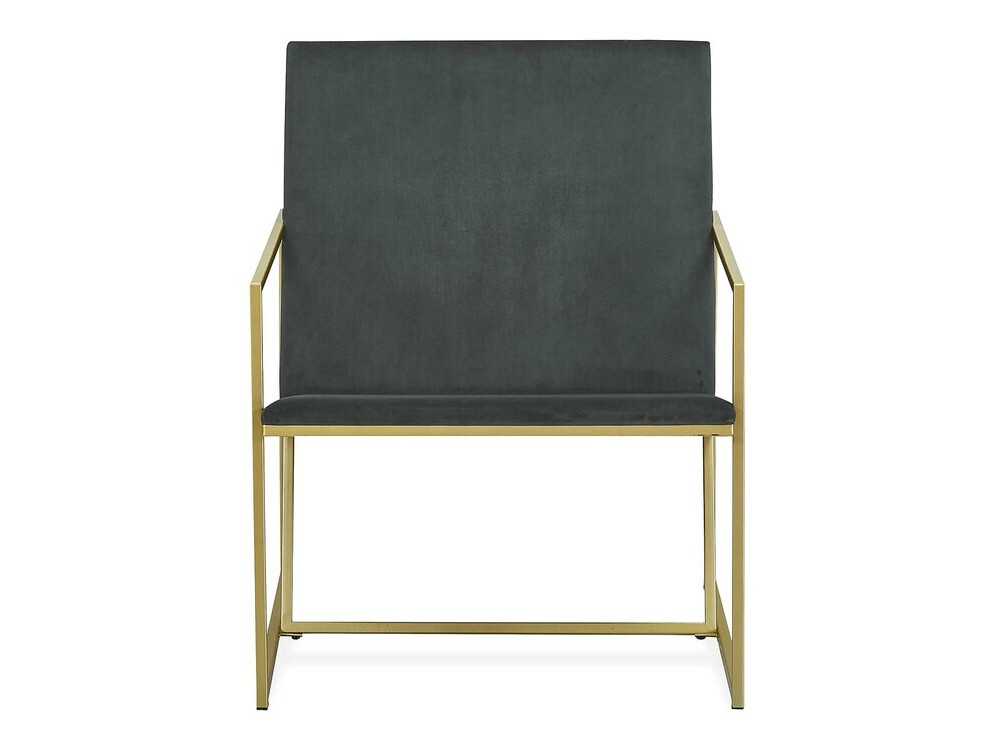 Fotelj Concept 55 192 (Temno siva + Medenina)