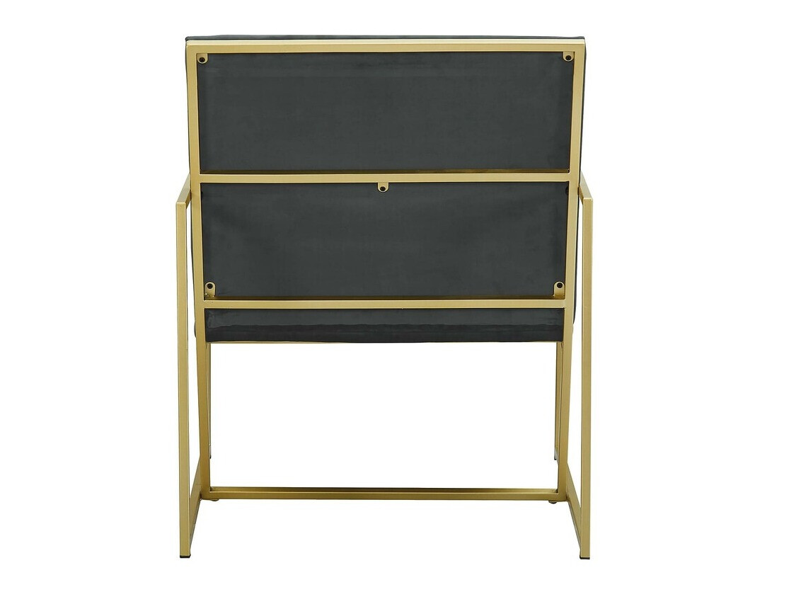 Fotelj Concept 55 192 (Temno siva + Medenina)