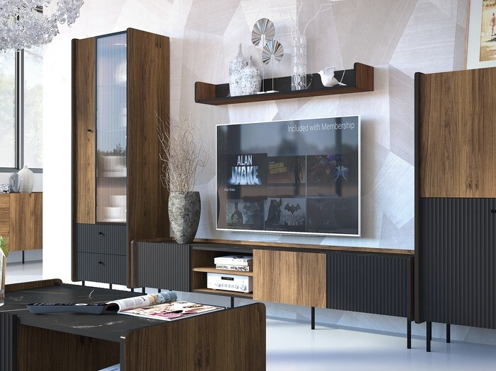 TV-omarica Tivsali 107