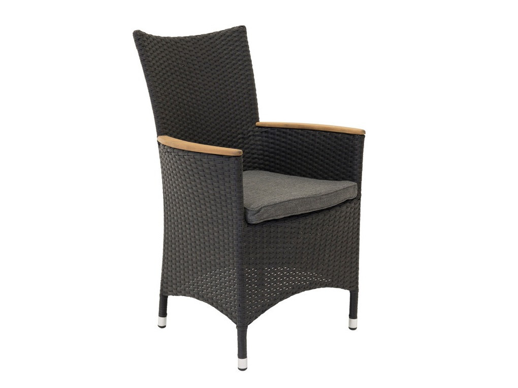 Vrtni fotelj Dallas 3843