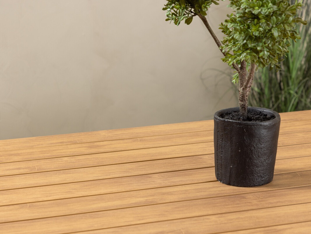 Vrtna miza Dallas 3890 (Bež + Svetel les)