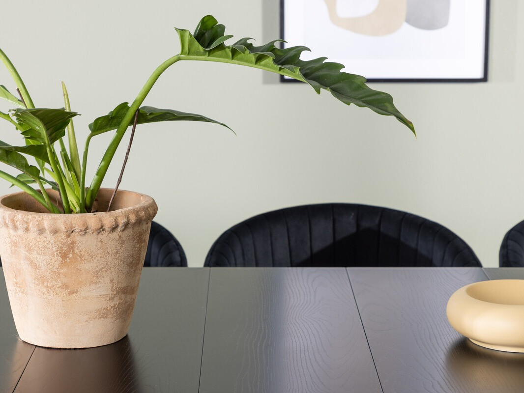 Jedilniški komplet Dallas 3966