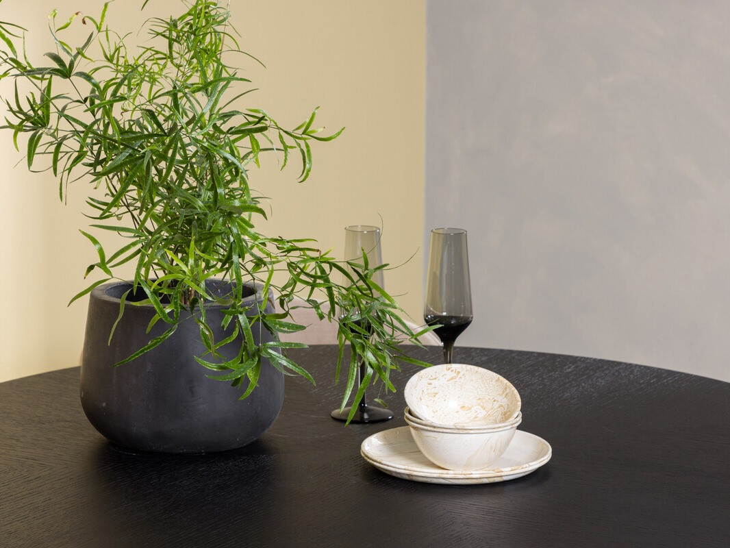 Jedilniški komplet Dallas 3972 (Črna)