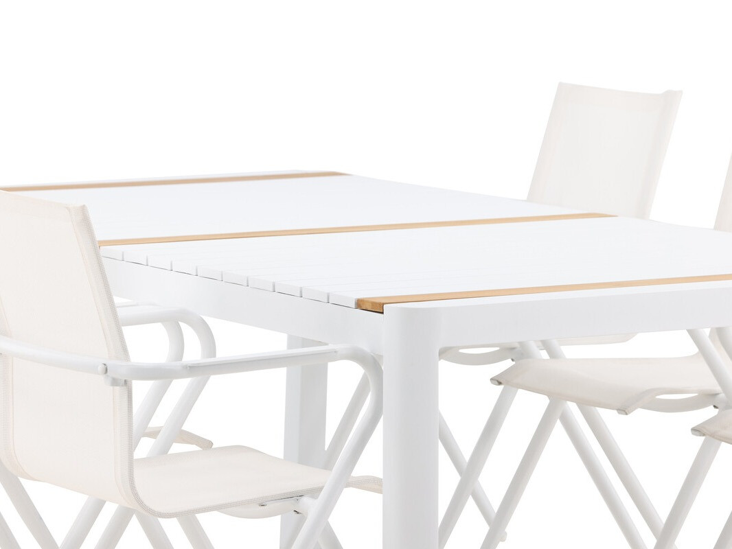 Komplet mize in stolov Dallas 4091