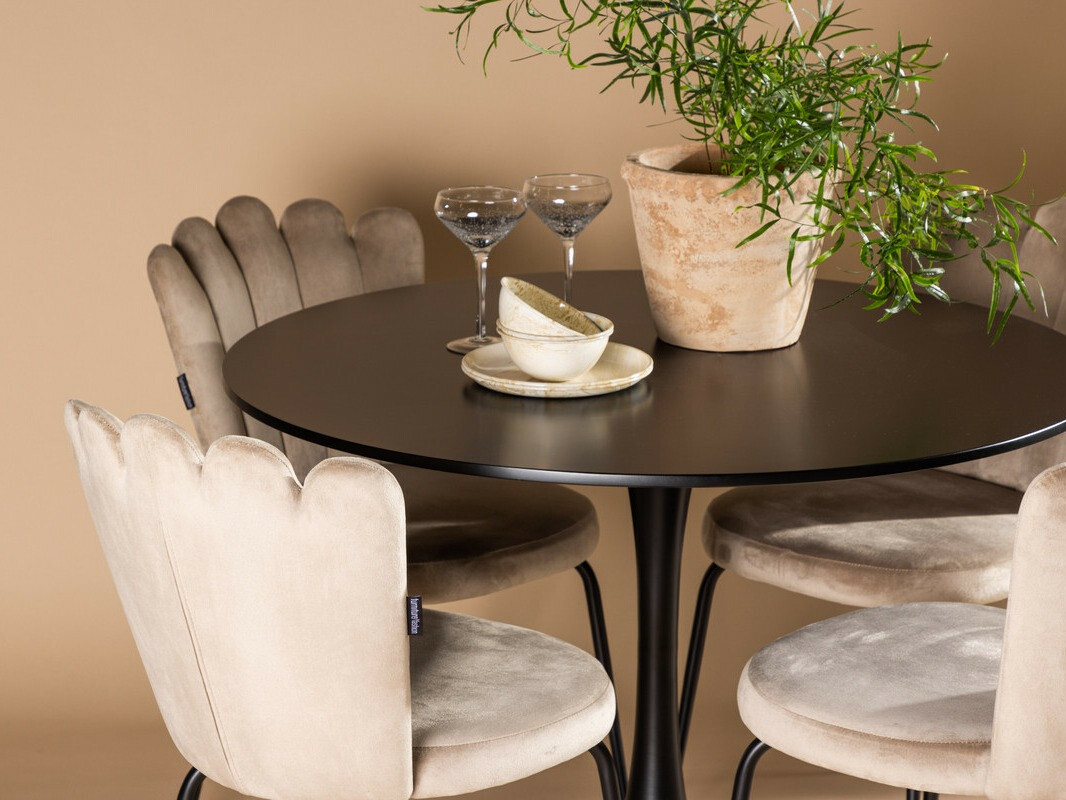 Jedilniški komplet Dallas 4162