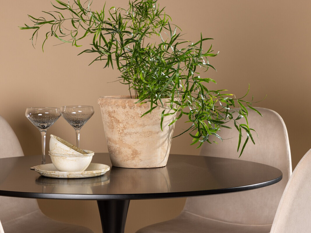 Jedilniški komplet Dallas 4163 (Bež + Črna)