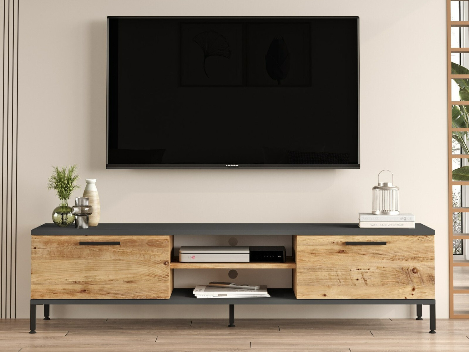 TV-omarica Kailua 835