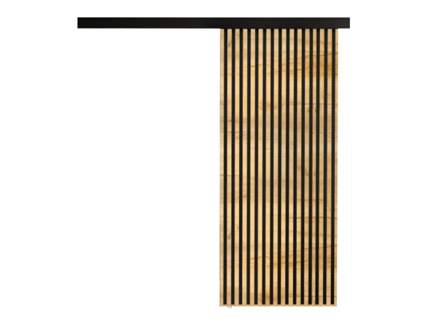 Drsna vrata Dover 202 (Craft zlati hrast + Črna)