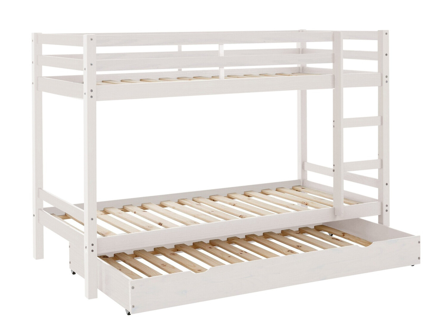 Pograd Ruvfiva 100 (Bela)