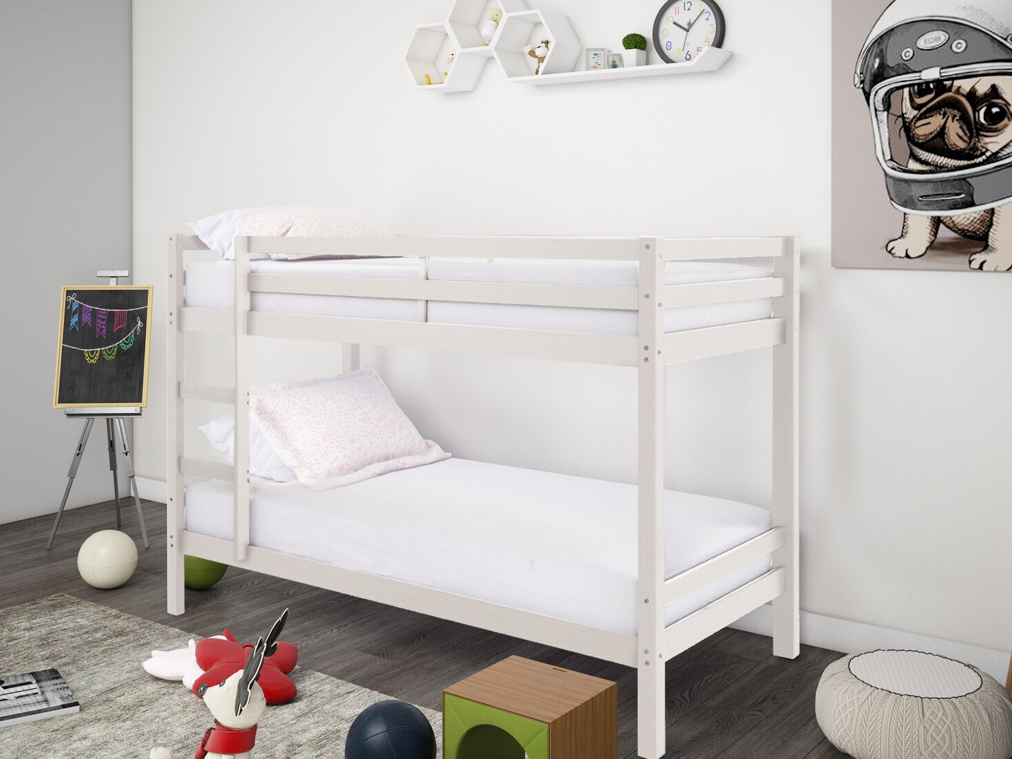 Pograd Ruvfiva 100 (Bela)