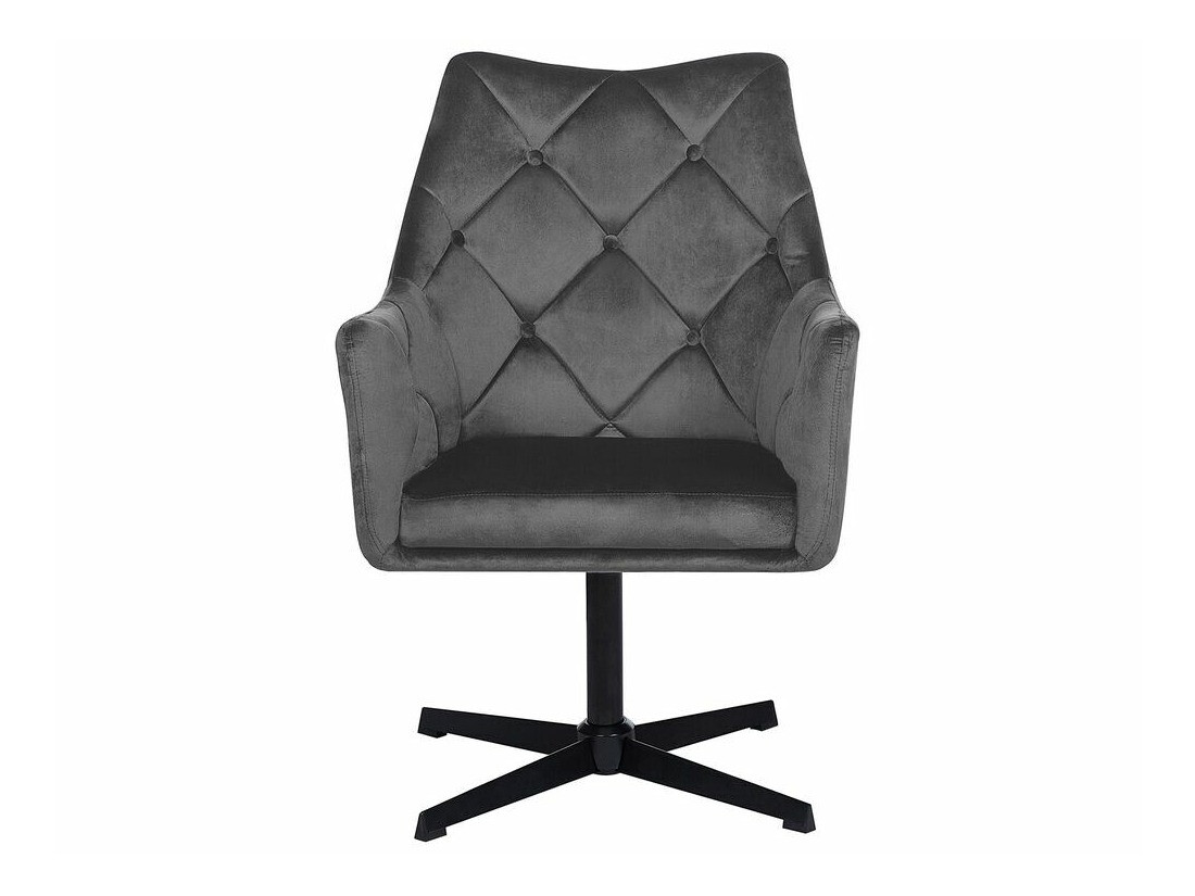 Fotelj Berwyn 1118 (Temno siva)