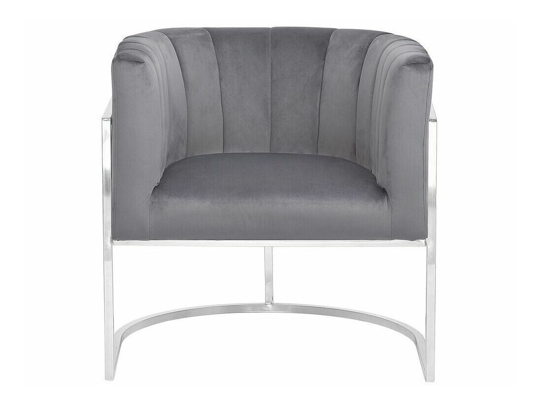 Fotelj Berwyn 1141 (Siva + Srebrna)