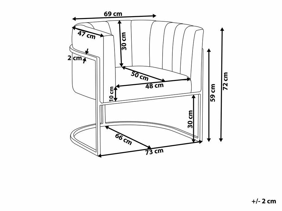 Fotelj Berwyn 1141 (Siva + Srebrna)