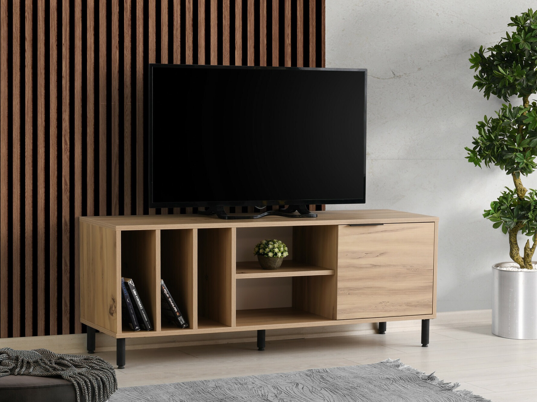 TV-omarica Kailua 1878