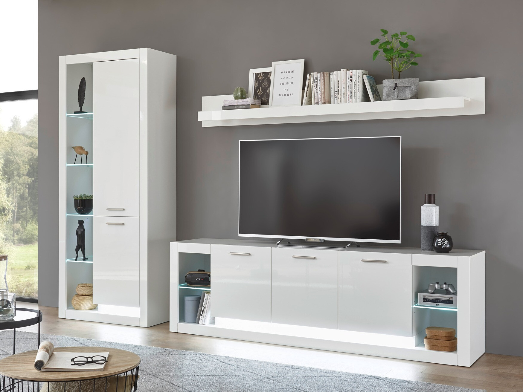 TV-omarica Dorbena 110