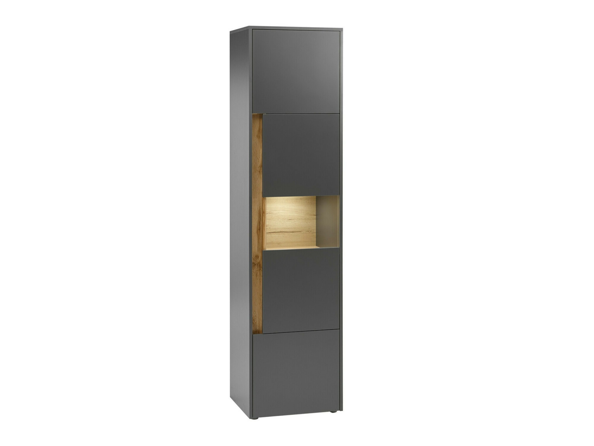 Regal Elbsori 100 (Antracit + Wotan hrast)