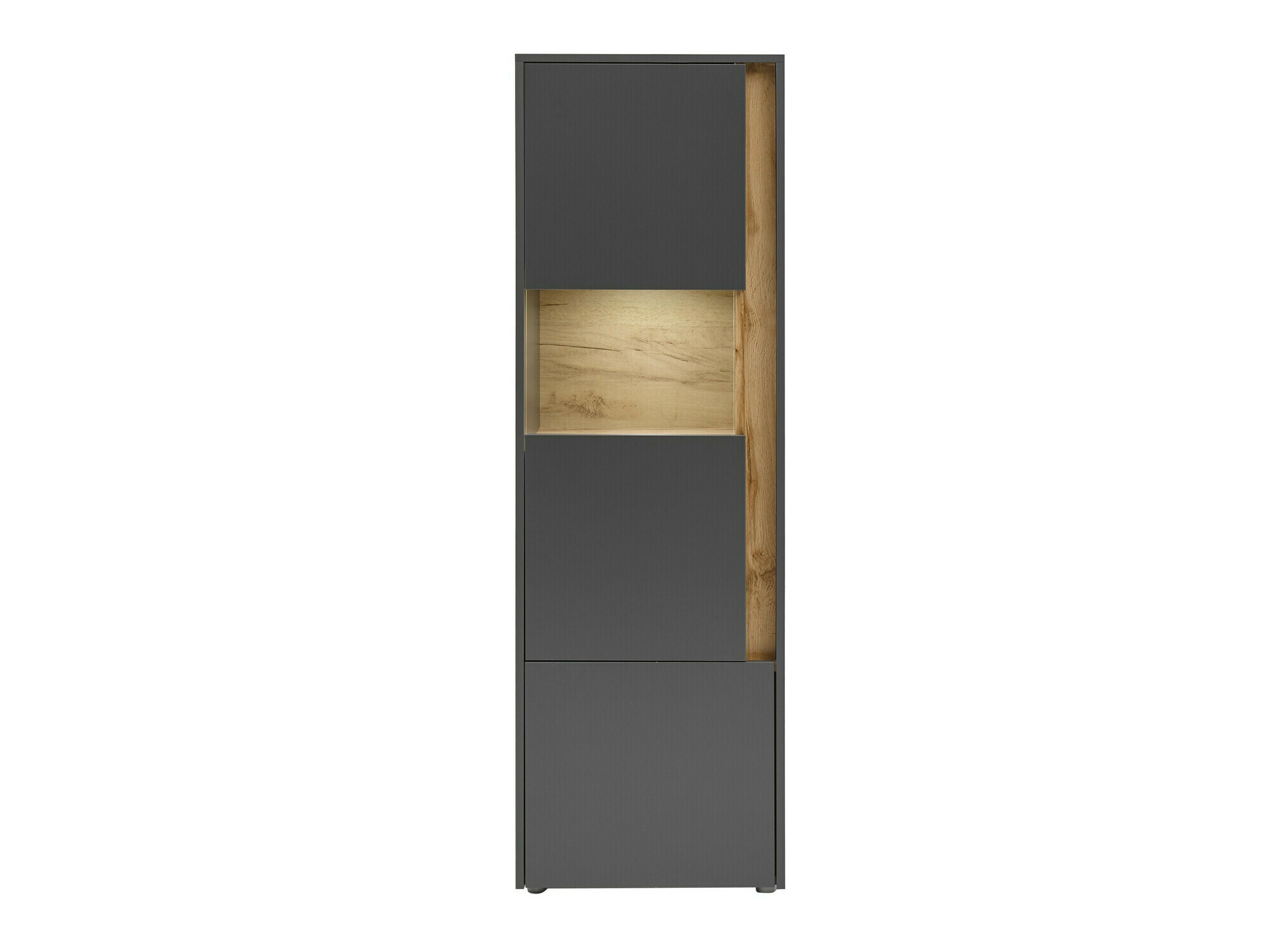 Regal Elbsori 102 (Antracit + Wotan hrast)