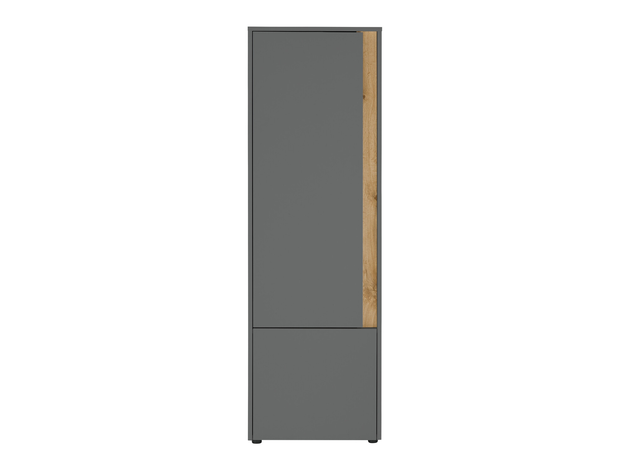 Regal Elbsori 104 (Antracit + Wotan hrast)