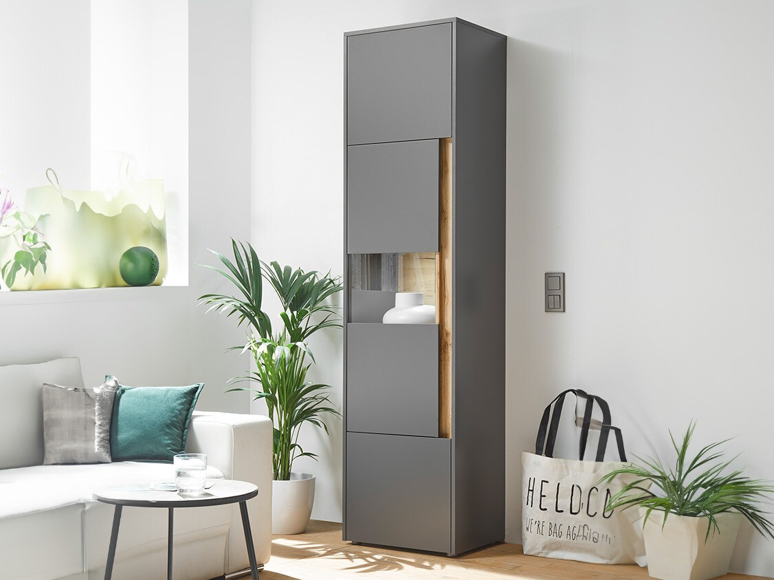 Regal Elbsori 100 (Antracit + Wotan hrast)