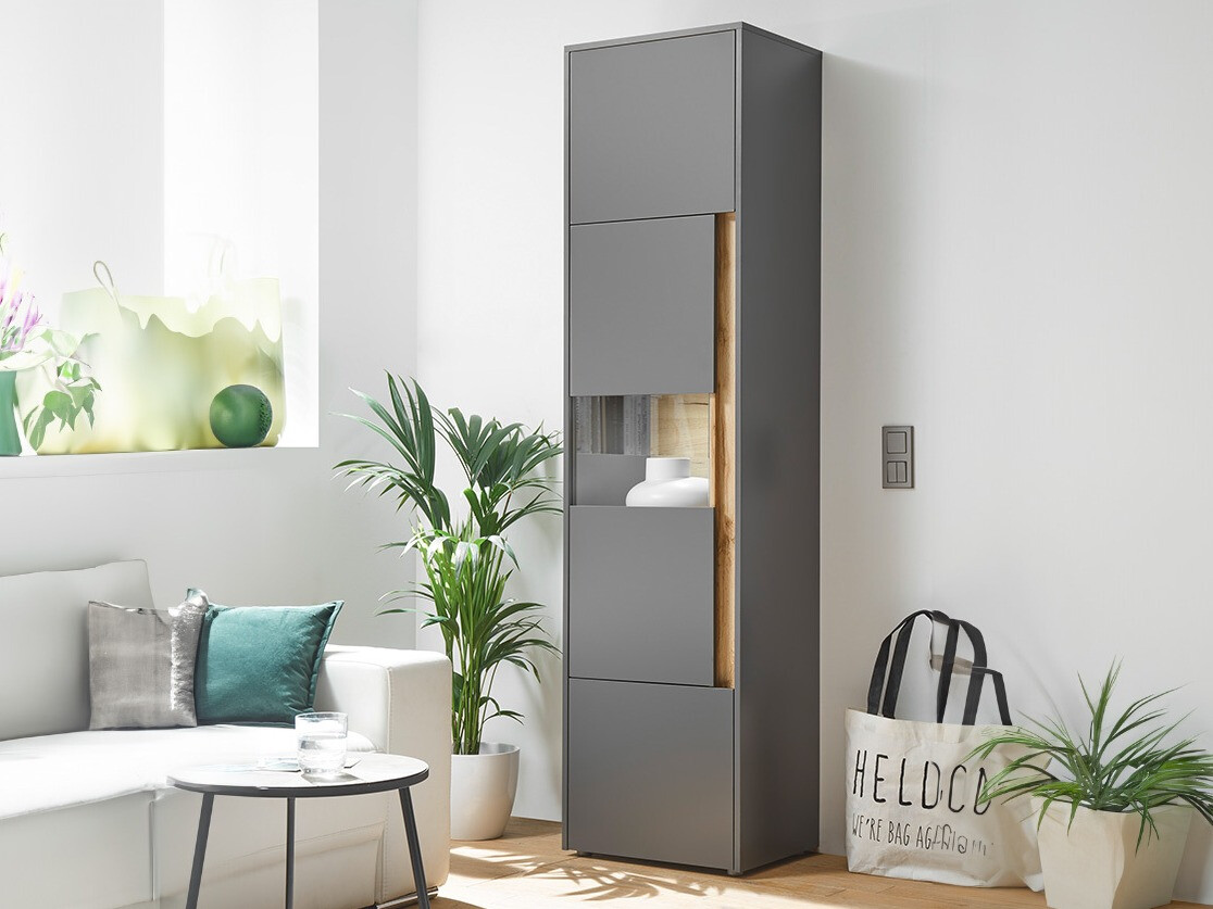 Regal Elbsori 100 (Antracit + Wotan hrast)