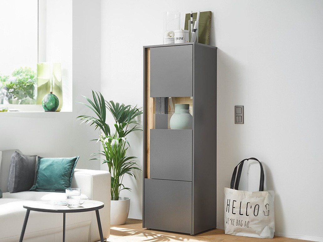 Regal Elbsori 102 (Antracit + Wotan hrast)