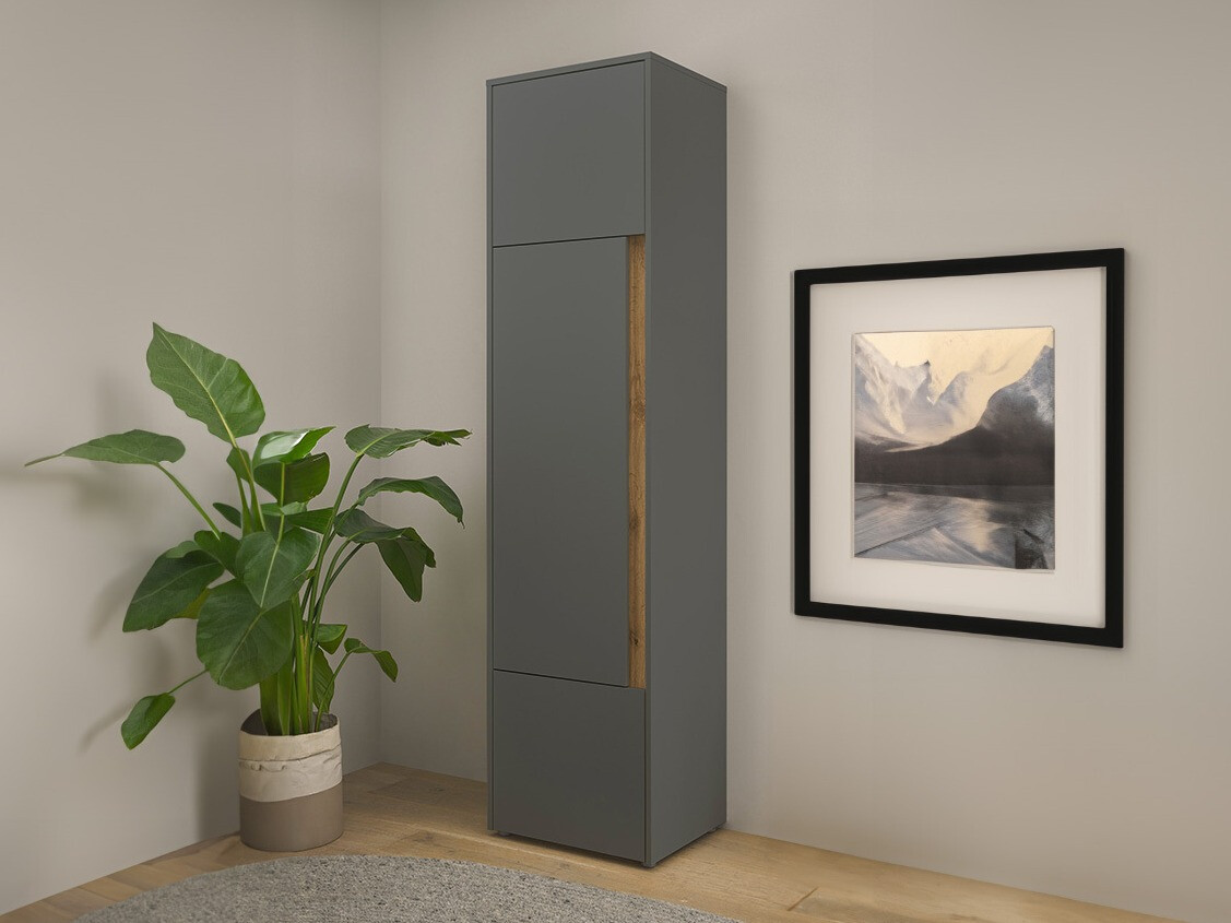 Regal Elbsori 103 (Antracit + Wotan hrast)