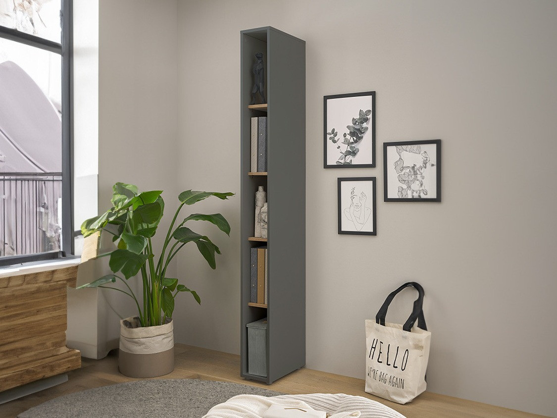 Regal Elbsori 105 (Antracit + Wotan hrast)