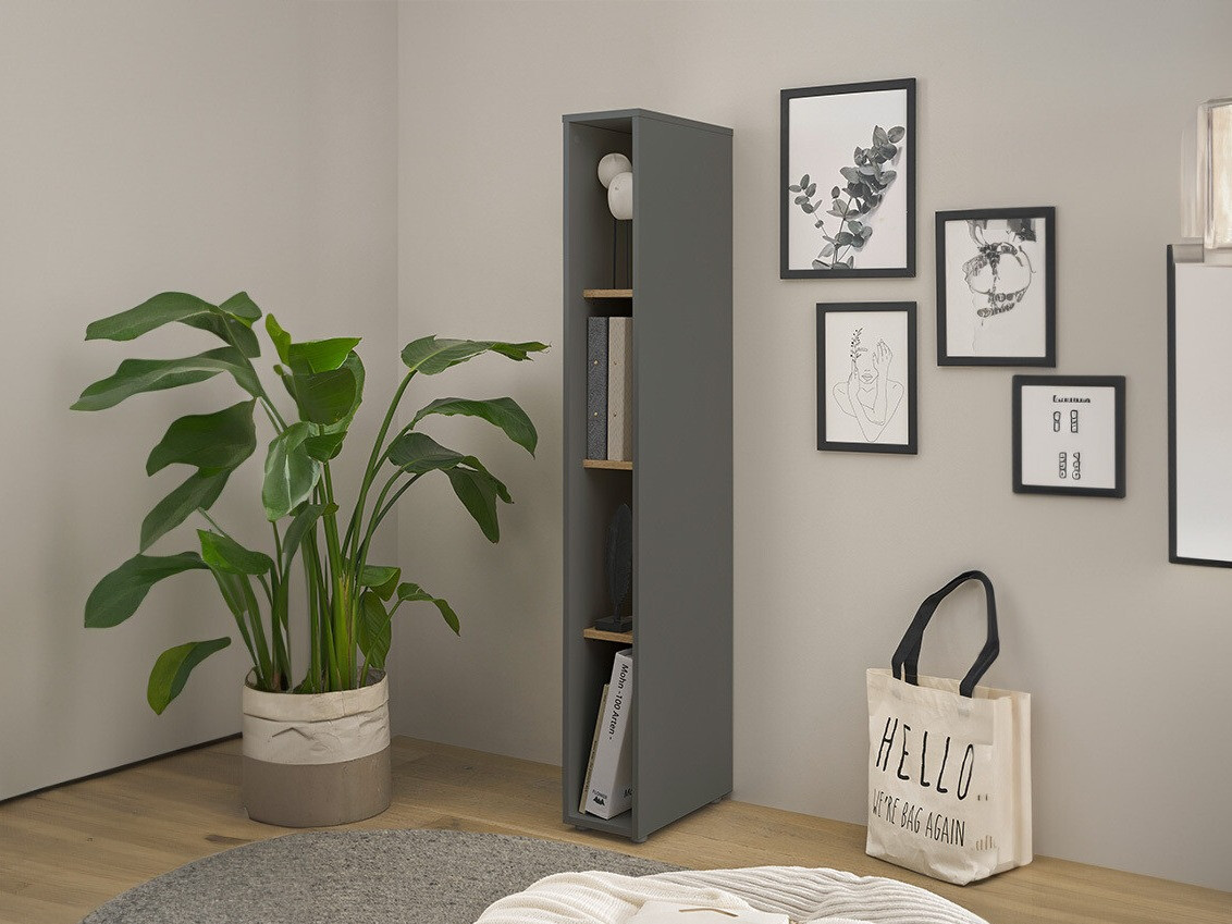 Regal Elbsori 106 (Antracit + Wotan hrast)