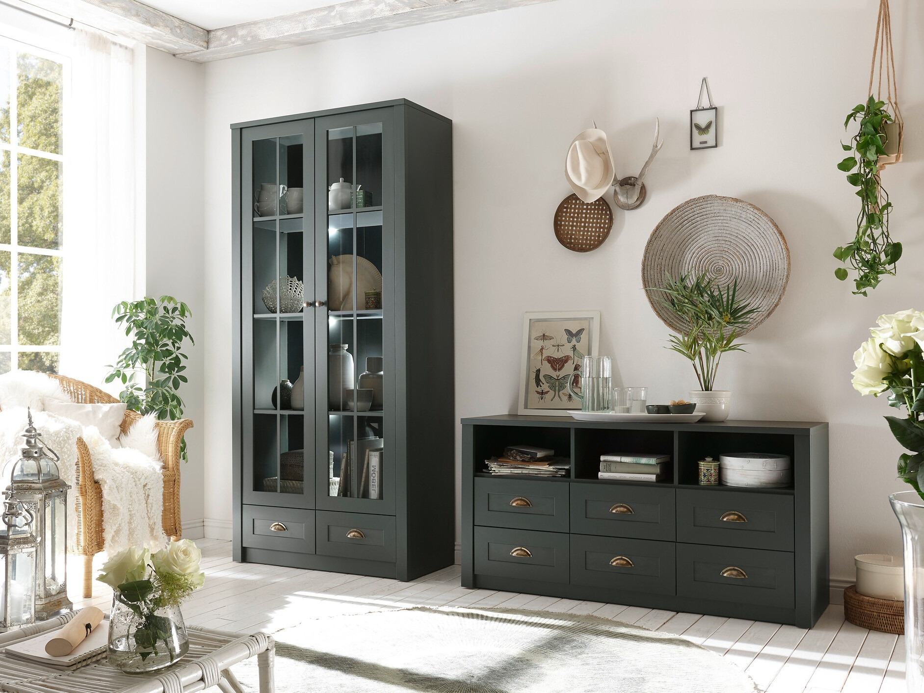 TV-omarica Evalira 101