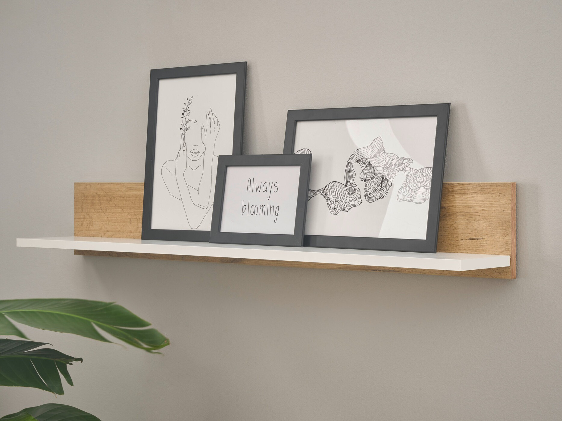 Stenska polica Elbsori 134 (Wotan hrast + Bela)