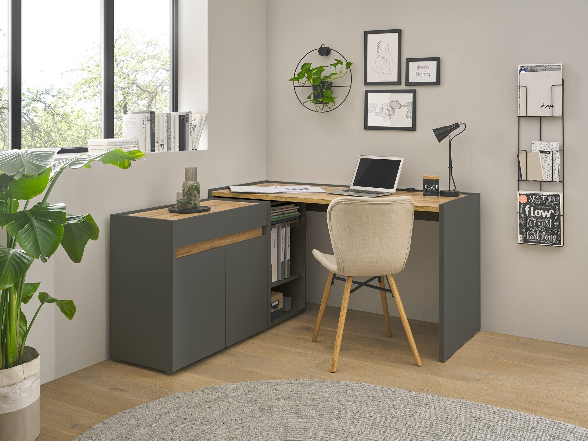 Komplet za domačo pisarno Elbsori 151 (Antracit + Wotan hrast)