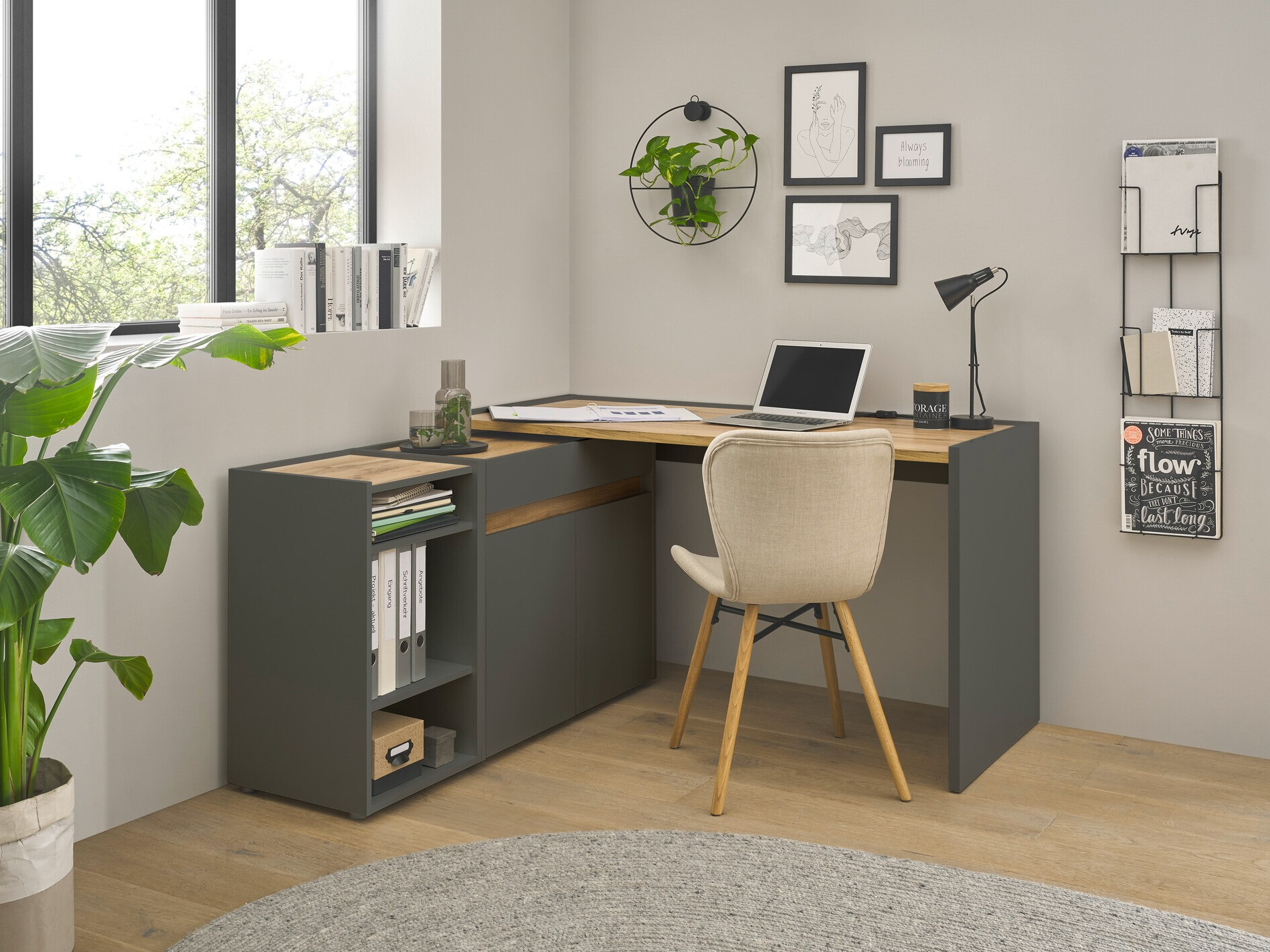 Komplet za domačo pisarno Elbsori 151 (Antracit + Wotan hrast)