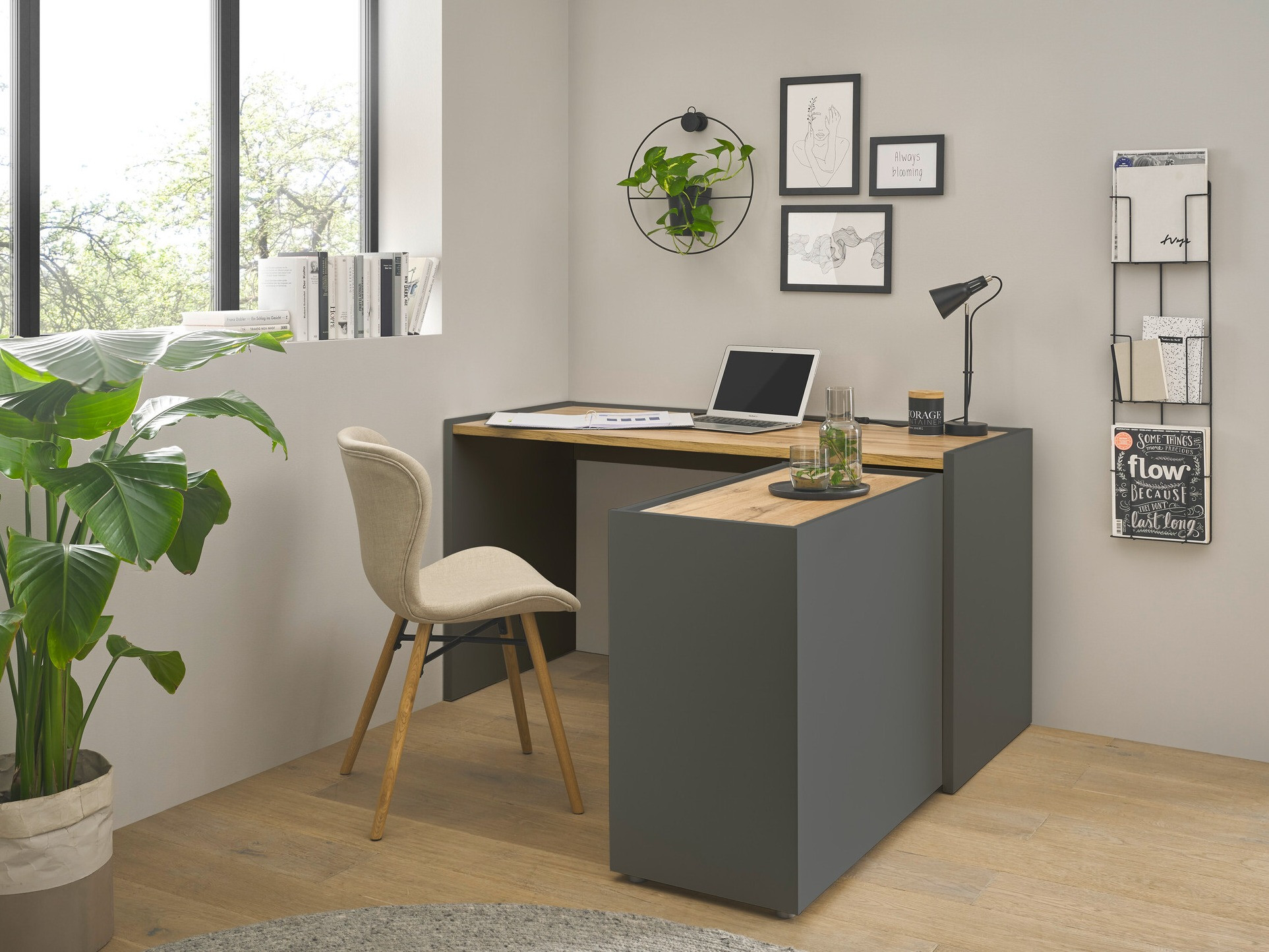 Komplet za domačo pisarno Elbsori 151 (Antracit + Wotan hrast)