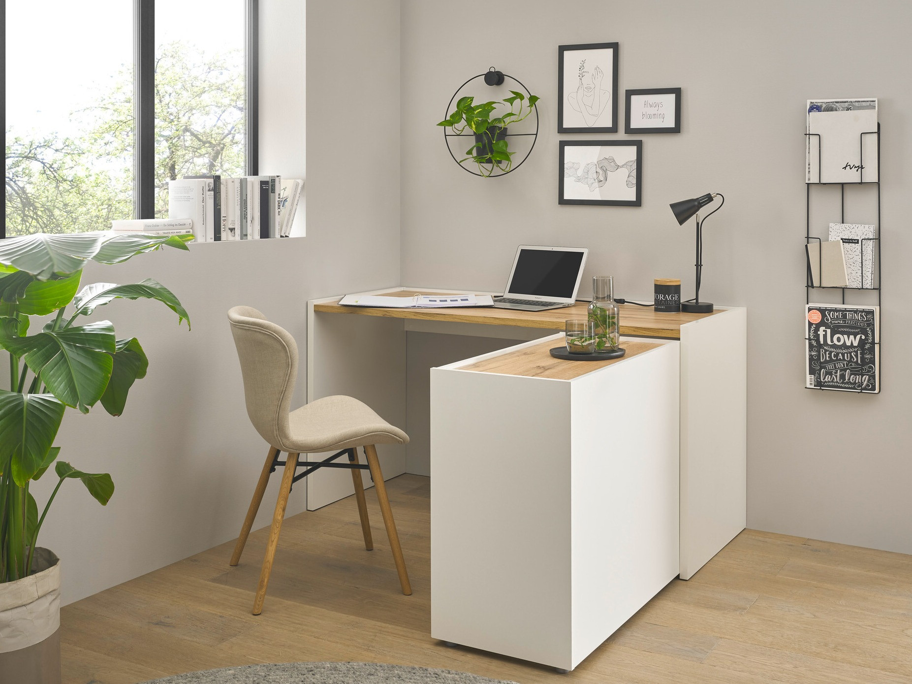 Komplet za domačo pisarno Elbsori 151 (Bela + Wotan hrast)