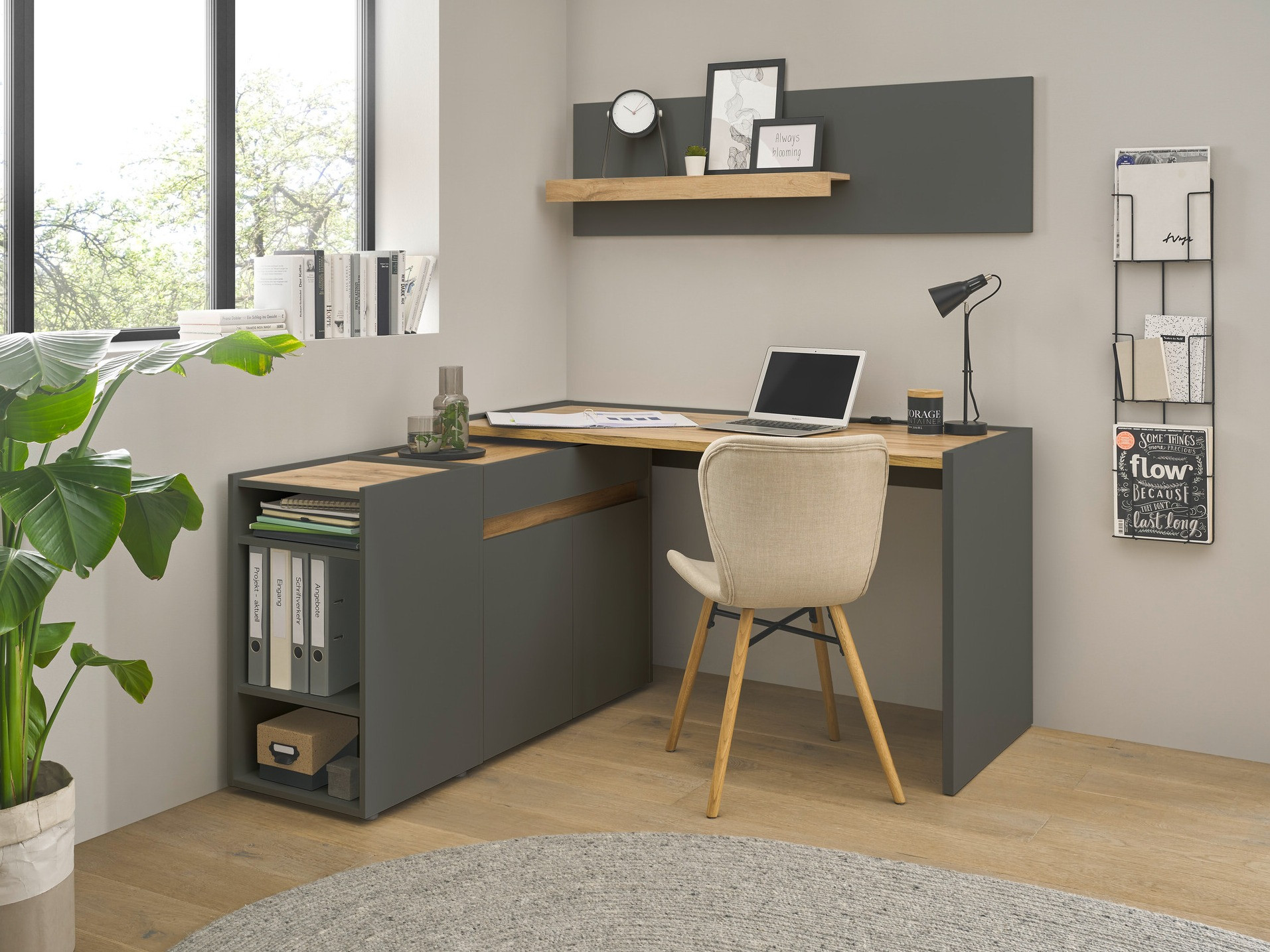 Komplet za domačo pisarno Elbsori 152 (Antracit + Wotan hrast)