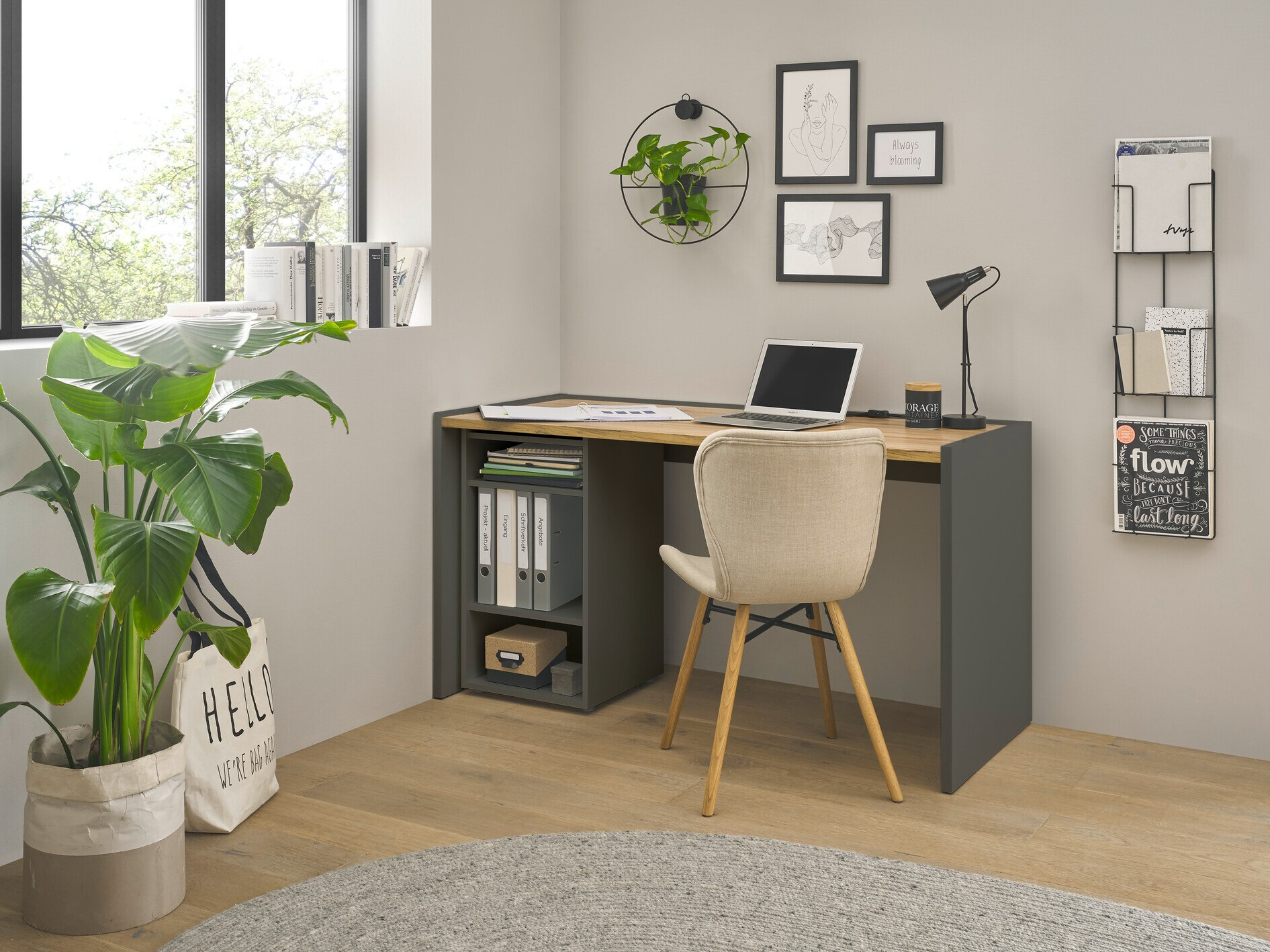 Komplet za domačo pisarno Elbsori 153 (Antracit + Wotan hrast)