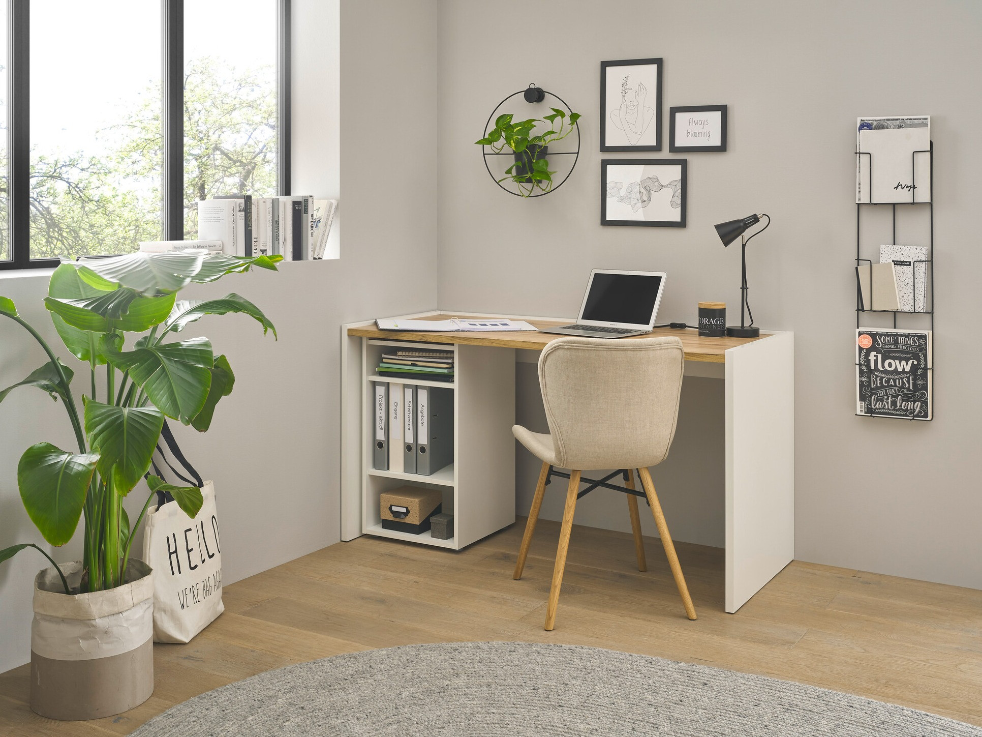 Komplet za domačo pisarno Elbsori 153 (Bela + Wotan hrast)